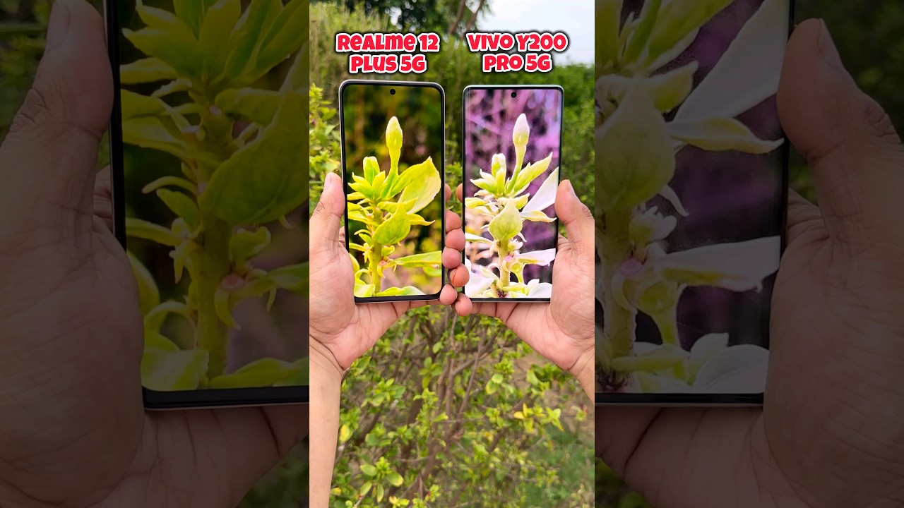 Realme 12 Plus 5g vs Vivo Y200 Pro 5g Camera Test Realme 12 Plus 5g vs Vivo Y200 Pro 5g Camera Test