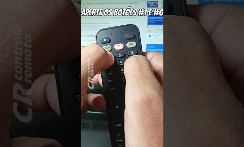 GVT/VIVO remote control by RESET on the control to GVT/VIVO remote control by RESET on the control to
