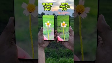 Realme 12 pro plus vs Oppo Reno 12 pro Camera Realme 12 pro plus vs Oppo Reno 12 pro Camera