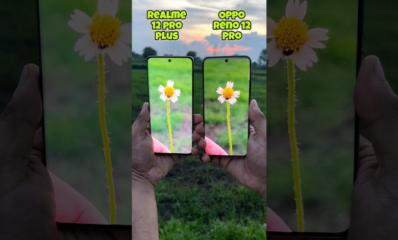 Realme 12 pro plus vs Oppo Reno 12 pro Camera Realme 12 pro plus vs Oppo Reno 12 pro Camera