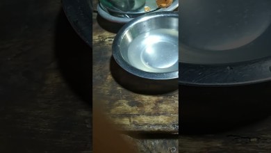 13 September 2024 13 September 2024