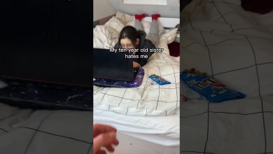 These box is a must have for me… These box is a must have for me…