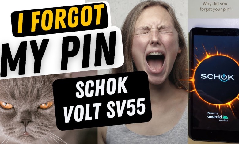 Schok Volt SV55 – I Forgot my Pin Pattern or Password Schok Volt SV55 – I Forgot my Pin Pattern or Password