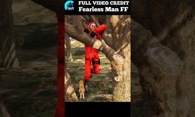 GTA 5: Adam Helps To Tiger Ki | SETTING GTA 5: Adam Helps To Tiger Ki | SETTING