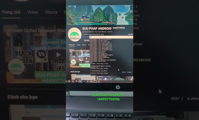 unlock Bootloader Black Shark 2 Pro 2 1 Helo Android 10 unlock Bootloader Black Shark 2 Pro 2 1 Helo Android 10