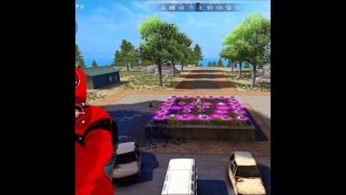 Red criminal peak trick – para SAMSUNG Red criminal peak trick – para SAMSUNG