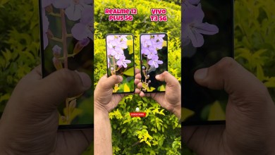 Realme 12 Plus 5g vs Vivo T3 5g Camera Test #realme Realme 12 Plus 5g vs Vivo T3 5g Camera Test #realme