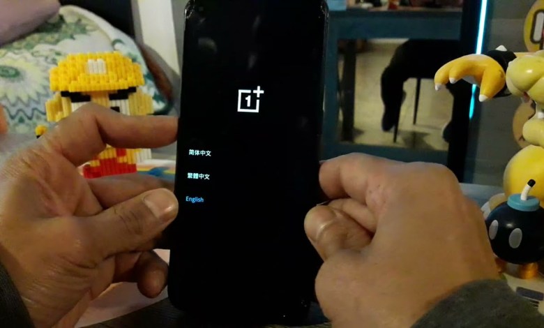OnePlus Nord N100 hard reset OnePlus Nord N100 hard reset