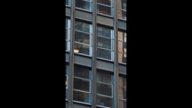 Galaxy Tab S9 Series: Dynamic AMOLED 2X | Samsung Galaxy Tab S9 Series: Dynamic AMOLED 2X | Samsung