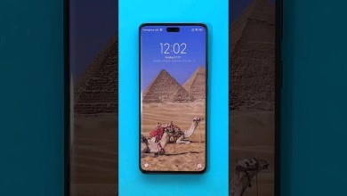 Xiaomi 13 Lite Hard Reset | Screen Lock Bypass | Xiaomi 13 Lite Hard Reset | Screen Lock Bypass |