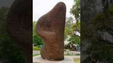 Discover the beauty of FRP Garden Art with the Fiberglass Reinforced Plastic Rock by… Discover the beauty of FRP Garden Art with the Fiberglass Reinforced Plastic Rock by…