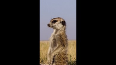 Where is my phone? 😮 Where is my phone? 😮