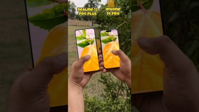 Realme 12 pro plus vs Iphone 14 pro Camera Test #shorts Realme 12 pro plus vs Iphone 14 pro Camera Test #shorts