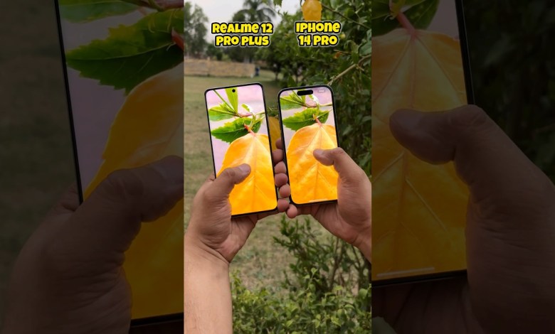 Realme 12 pro plus vs Iphone 14 pro Camera Test #shorts Realme 12 pro plus vs Iphone 14 pro Camera Test #shorts