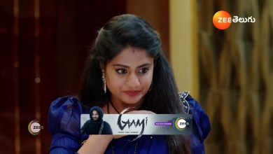 Jagadhatri Telugu | Ep – 206 | Webisode | Apr, 16 2024 Jagadhatri Telugu | Ep – 206 | Webisode | Apr, 16 2024