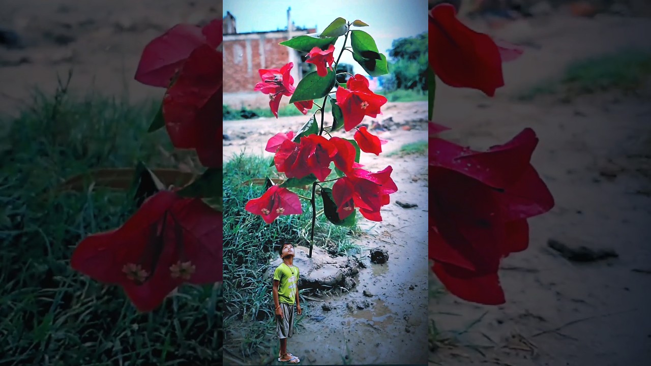 SAMSUNG SUT Barish slow motion video #shorts SAMSUNG SUT Barish slow motion video #shorts