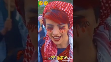 1 июля 2024 г. 1 июля 2024 г.