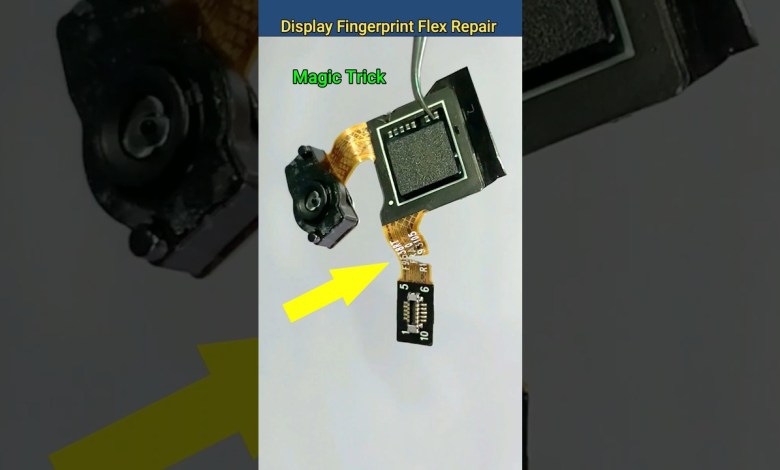 Display Fingerprint Flex Repair Display Fingerprint Flex Repair