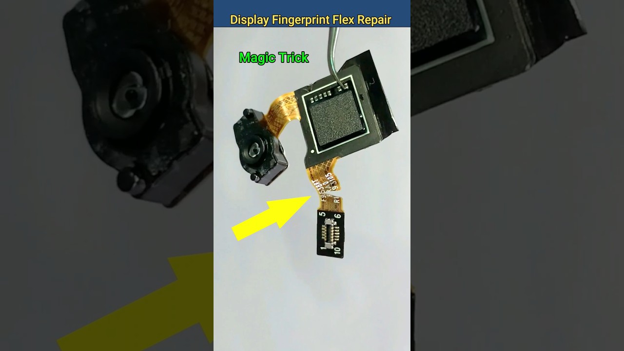 Display Fingerprint Flex Repair Display Fingerprint Flex Repair