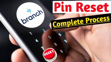 How to Reset Branch Loan App PIN? Forget Pin How to Reset Branch Loan App PIN? Forget Pin