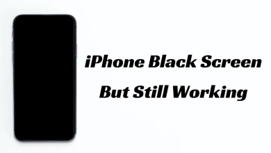 iPhone Screen Black But Still Working? Here’s How to iPhone Screen Black But Still Working? Here’s How to