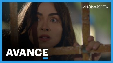 PREVIEW Chapter 11: Will Peace be in danger? | This PREVIEW Chapter 11: Will Peace be in danger? | This