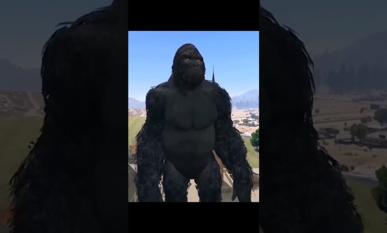 GTA 5 Adam Safe Nw Gorilla PERFECT SETUP GTA 5 Adam Safe Nw Gorilla PERFECT SETUP