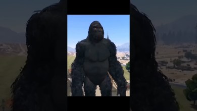 GTA 5 Adam Safe Nw Gorilla PERFECT SETUP GTA 5 Adam Safe Nw Gorilla PERFECT SETUP