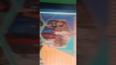 OnePlus ce2 lite 5g pattern, pin,frp, online OnePlus ce2 lite 5g pattern, pin,frp, online