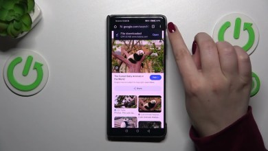 How to Clear Browser Data on HONOR Magic V2 – Reset How to Clear Browser Data on HONOR Magic V2 – Reset