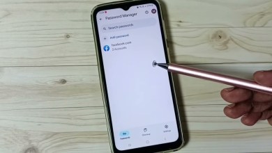 Samsung Galaxy A33 5G | See Passwords in the Samsung Galaxy A33 5G | See Passwords in the