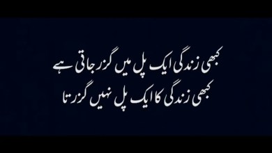 beautiful quotes # aqwaal zarein# kahawt akoal #viral # beautiful quotes # aqwaal zarein# kahawt akoal #viral #