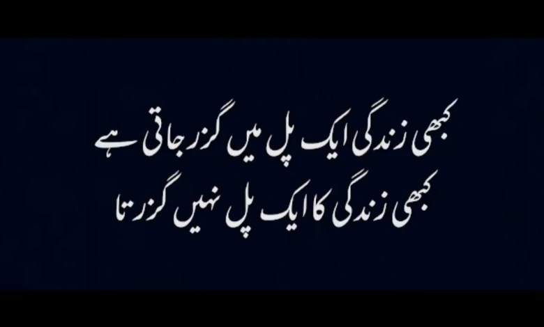 beautiful quotes # aqwaal zarein# kahawt akoal #viral # beautiful quotes # aqwaal zarein# kahawt akoal #viral #