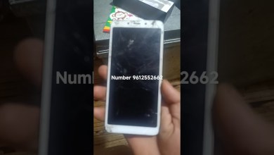 5 May 2024 5 May 2024