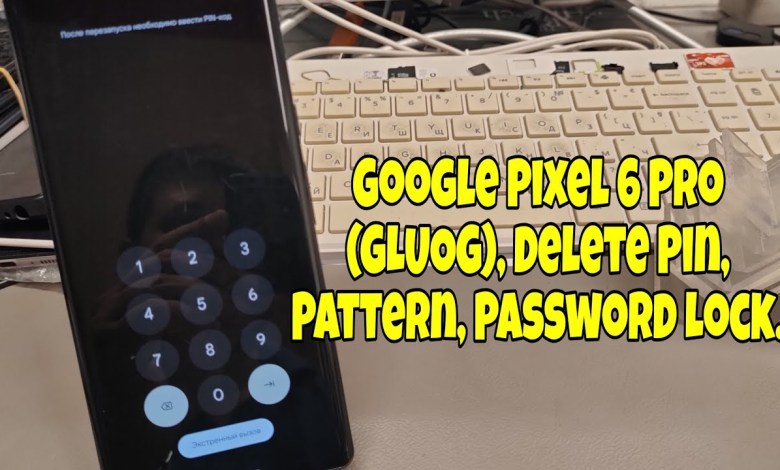 Forgot Phone Lock? Google Pixel 6 Pro (GLUOG), Delete Forgot Phone Lock? Google Pixel 6 Pro (GLUOG), Delete