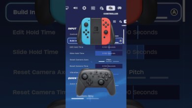 New BEST Chapter 5 Nintendo Switch Settings for New BEST Chapter 5 Nintendo Switch Settings for
