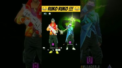 Emotional Guild Leader ji – para Emotional Guild Leader ji – para