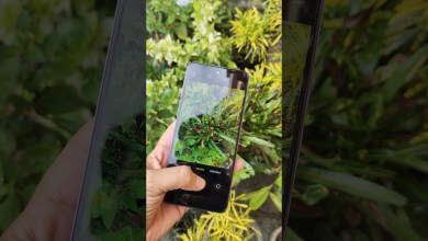 Oppo A3 Pro Camera Test #oppoa3pro #cameratest #oppo Oppo A3 Pro Camera Test #oppoa3pro #cameratest #oppo