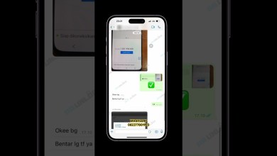 Reset demo phone VIVO V29 / V29E / Y27 / Y17S permanent Reset demo phone VIVO V29 / V29E / Y27 / Y17S permanent