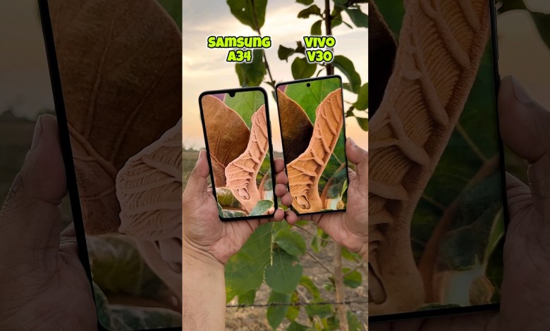 Samsung A34 vs Vivo V30 Camera Test #shorts Samsung A34 vs Vivo V30 Camera Test #shorts