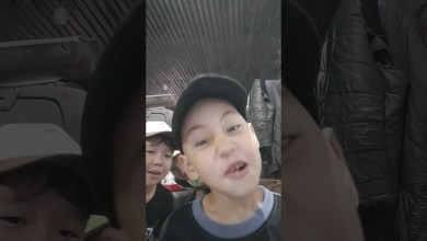 20 июня 2024 г. 20 июня 2024 г.