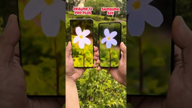 Realme 12 pro plus vs Samsung S24 Portrait Test #shorts Realme 12 pro plus vs Samsung S24 Portrait Test #shorts