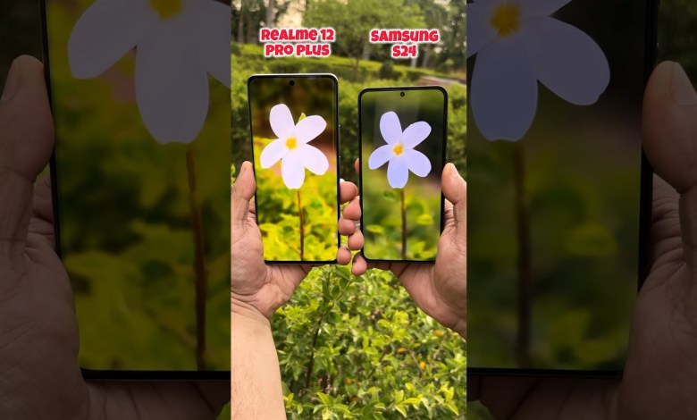 Realme 12 pro plus vs Samsung S24 Portrait Test #shorts Realme 12 pro plus vs Samsung S24 Portrait Test #shorts