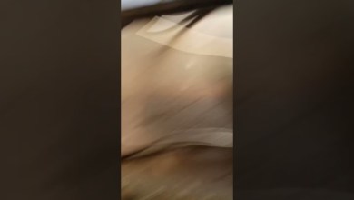 Redmi note 6pro auto recovery mode fix solve ll Umt Redmi note 6pro auto recovery mode fix solve ll Umt