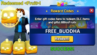 *NEW CODES* ALL WORKING CODES IN BLOX FRUITS AUGUST *NEW CODES* ALL WORKING CODES IN BLOX FRUITS AUGUST
