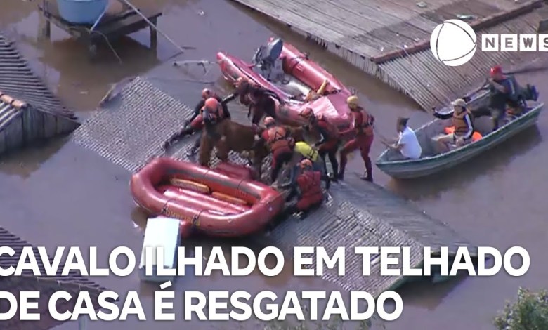 Teams rescue horse that was stranded in Canoas Teams rescue horse that was stranded in Canoas