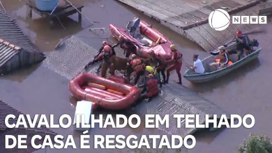 Teams rescue horse that was stranded in Canoas Teams rescue horse that was stranded in Canoas