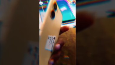 18 June 2024 18 June 2024