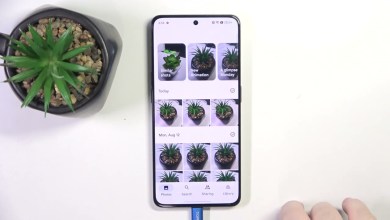 How to Recover Deleted Photos from Trash on Oppo Reno 8 How to Recover Deleted Photos from Trash on Oppo Reno 8