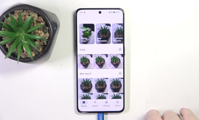 How to Recover Deleted Photos from Trash on Oppo Reno 8 How to Recover Deleted Photos from Trash on Oppo Reno 8